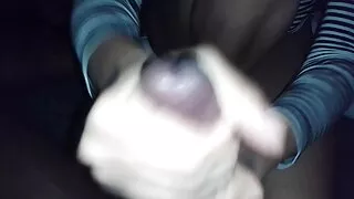 Täiuslik võõras hahal bruna