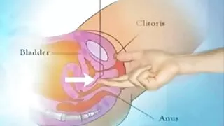 Kogenud daam on tore istuda dildo